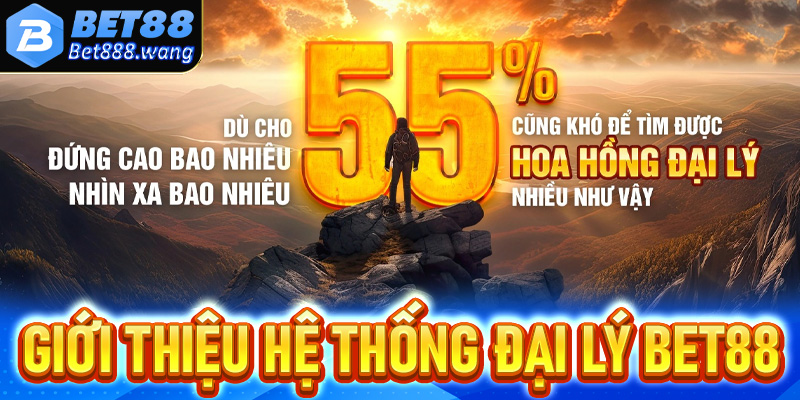 Giới thiệu về hệ thống chính sách đại lý Bet88